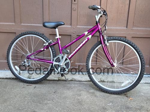 Schwinn Odana fiche technique et avis